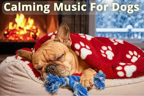 12 Hours Dog Calming Music 🐶 Reduce Anxiety & Separation Stress | Piano Music