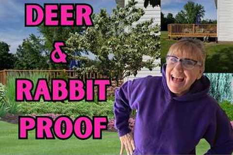  Landscape Design Ideas-Deer &amp; Rabbit Resistant| Before &amp; After