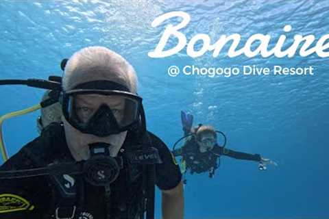Exploring Bonaire: Chogogo Resort, Amazing Food & Epic Scuba Diving! 🏝️🐠