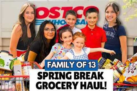 Massive $1,000 Costco Grocery Haul | Family of 13