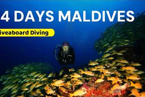 Exploring Paradise: 14 Days scuba diving on a Maldives Liveaboard 🦈 🤿