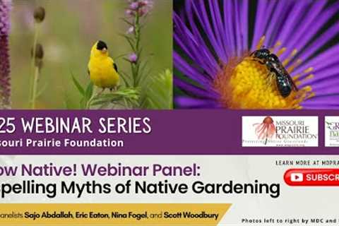 Grow Native! Webinar  Dispelling Myths of Native Gardening