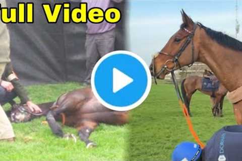Shocking Envoi Allen Racehorse Death After Final Jump Race | Envoi Allen Falling Video