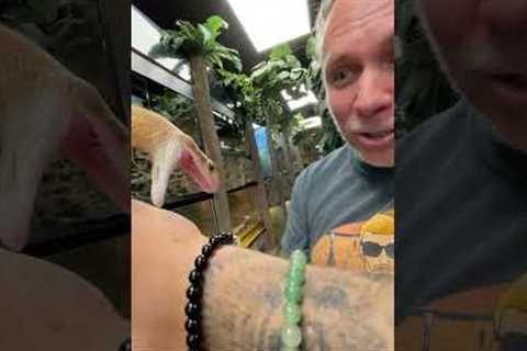 My Pet Snake Jimmy is NOT Happy...