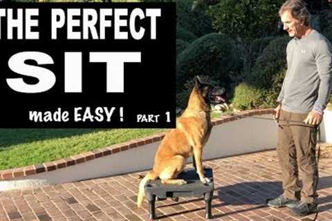 Teach Your Dog SIT on Command - Perfect SIT - Robert Cabral Dog Training Video