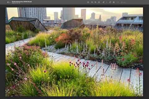 Arjan Boekel - Dutch Garden Design Star