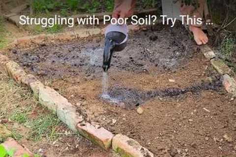 Struggling with Poor Soil? Try This EASY Fix! #gardening #hack