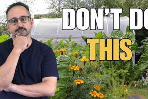 5 Beginner Garden Mistakes You Need to Stop Now