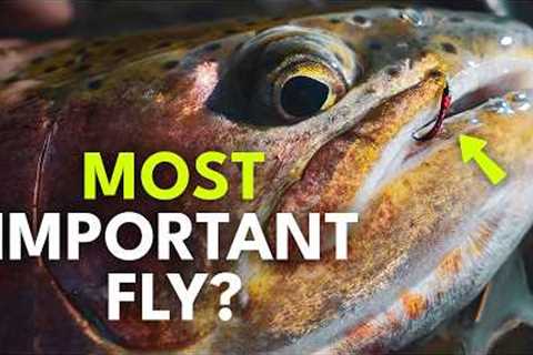 The Most Important Bug Most Anglers Ignore