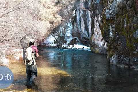 SOLO FLY FISHING &amp; CAMPING IN THE UTAH MOUNTAINS