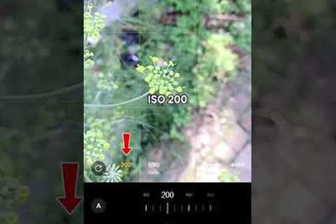 Tricks With Phone Using Pro Mod 📸 || Mobile Photography Hacks 💥