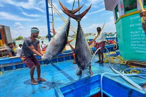 Ohh Final Day! On The Last Day We Caught Fish And Returned To The Fishing Port | Day-13 | S04-EP14