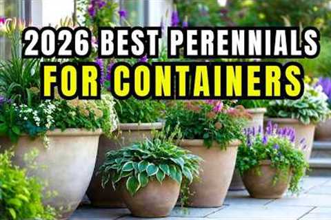 😍 10 Easiest Perennials for Container Gardening 🌿(Low Effort, Big Impact!)👌