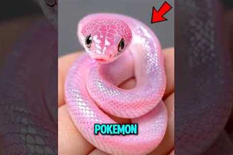 Top 3 Rarest Snake Species on Earth 😱