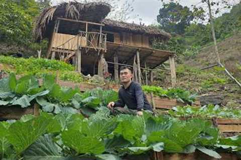 From Bare Land to Dream Home: Complete Stilt House Build