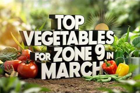 Best Vegetables to Plant in March in Zone 9: Easy Gardening Tips for a Thriving Spring Garden!