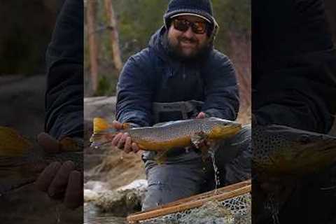 The Most Important Bug in Fly Fishing
