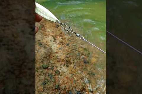 How to properly set up a fishing lure #fishing #fishingknot #lure #fishinglures #tutorial