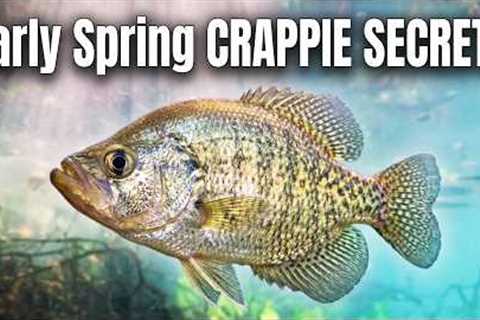 Everything You Need To Know To Catch Spring Crappie