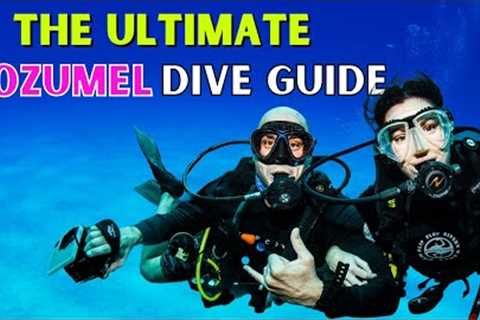 Where to Scuba Dive in Cozumel (ULTIMATE DIVE GUIDE)