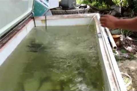 How To Make A Bait Tank From A Freezer