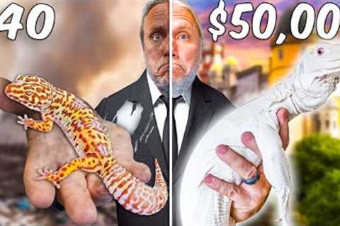 My Cheapest Lizard To My Most Expensive Lizard!