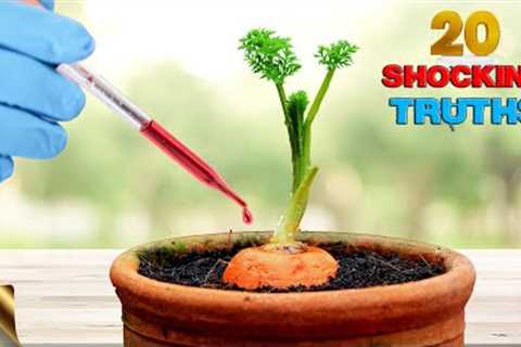 20 SHOCKING TRUTHS ABOUT GARDENING | GARDEN MYTHS DEBUNKED!