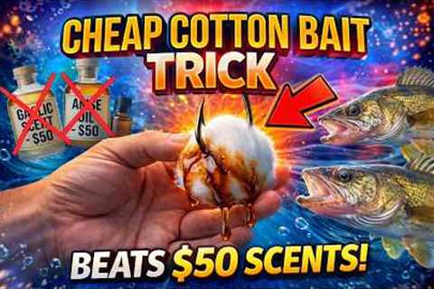 Soak a Cotton Ball in This — Fish Strike Instantly (Better Than $50 Scents)