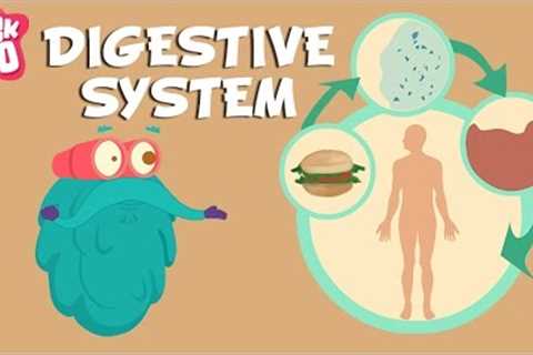 Digestive System | The Dr. Binocs Show | Learn Videos For Kids