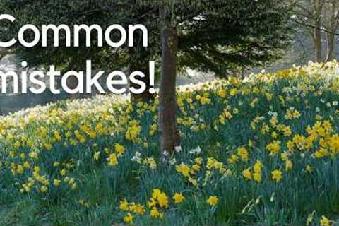 What Most Gardeners Get Wrong About Daffodils (Expert Tips)