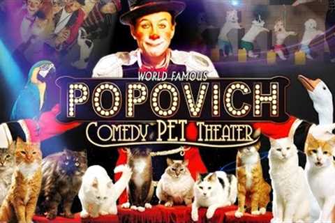 Las Vegas family show - Gregory Popovich Comedy Pet Theater