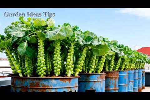 🔴TOP Balcony Gardening Hacks Using Recycled Materials for Small Rooftop Spaces