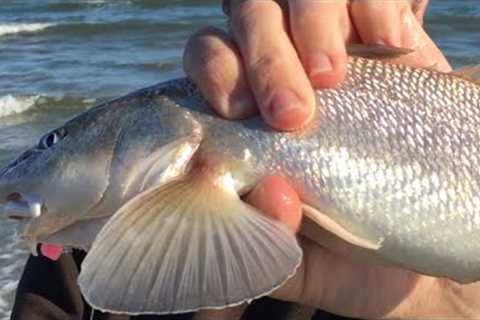 BEST WAY to CATCH ANY FISH in SALTWATER!