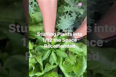 People won’t tell you this! These are the garden hacks that actually work… #garden #gardening101