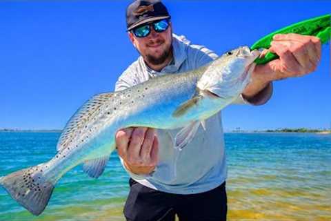 Fisherman’s DREAM DAY! Inshore Fishing for Redfish, BIG Speckled Trout, and Flounder!