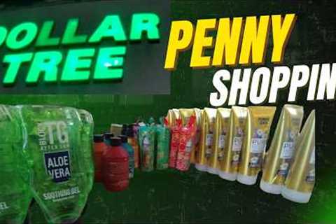 I Found $0.01 Items at Dollar Tree… and They Let Me Buy Them 😱 #pennyshopping #dollartree