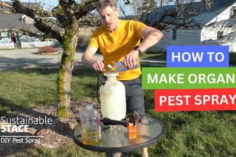 How To Make DIY Organic Pest Spray For Your Fruit Trees!