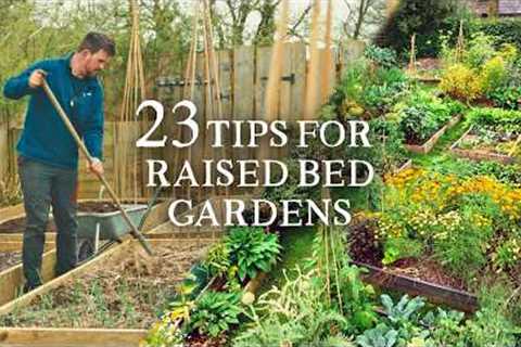 23 Raised Bed Gardening Tips I Wish I Knew Sooner