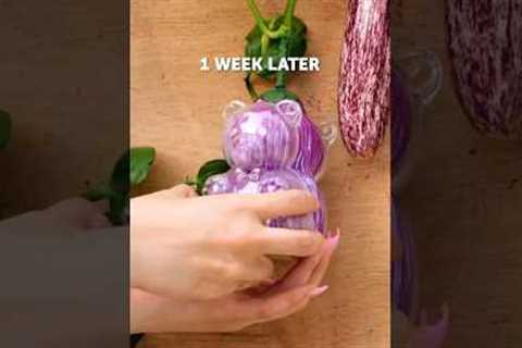 5 gardening hacks every beginner needs to know