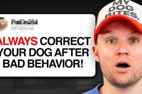 Dog Expert Reacts to the WORST Dog Training Advice
