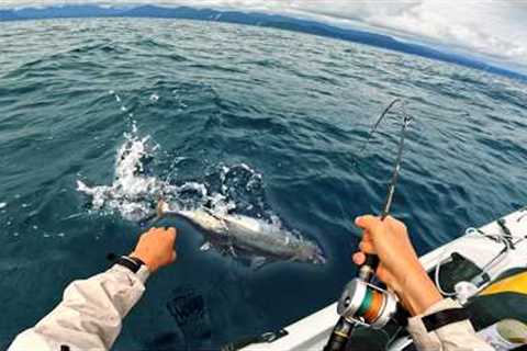 I Didn't Think It Was Possible... Remote South Island West Coast ( Catch Cook )