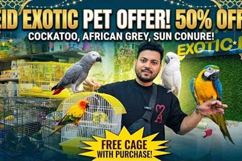 ​Huge Eid Sale! Budgie Bundles &amp;  Exotic Parrots at Wajid Exotic Pets! 🦜✨
