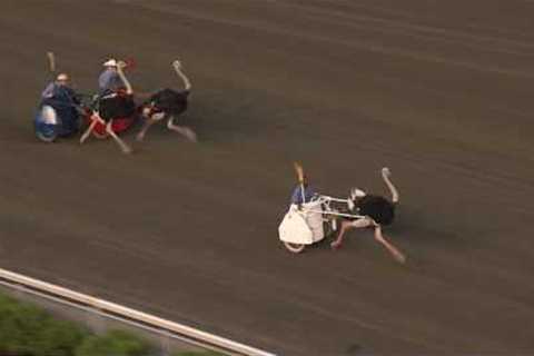 June 18, 2016 - Ostrich Derby