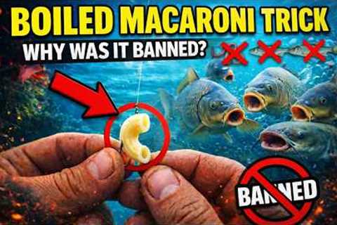 Put Boiled Macaroni on Your Hook — Better Than Live Bait (Why Was It Banned?)