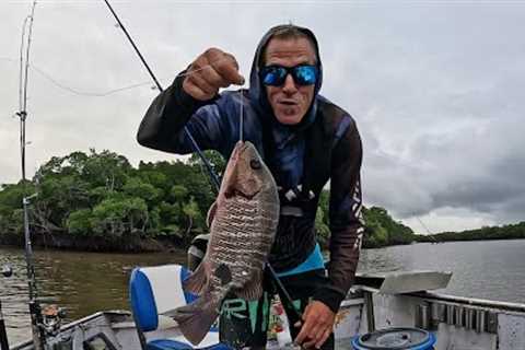 Fishing Port douglas (Catch &amp; Cook)