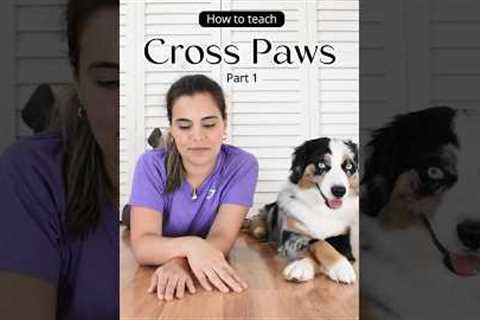 The easiest way to teach your dog to cross paws. Trick tutorial #dogtraining #dogtricks #doglover