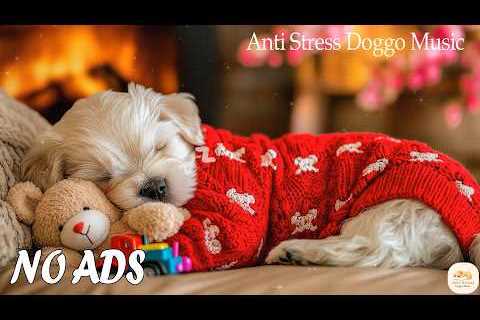 12 HOURS Soft Dog Music 🐶Reduce Stress & Separation Anxiety Naturally 🎵Dog Relaxation Music