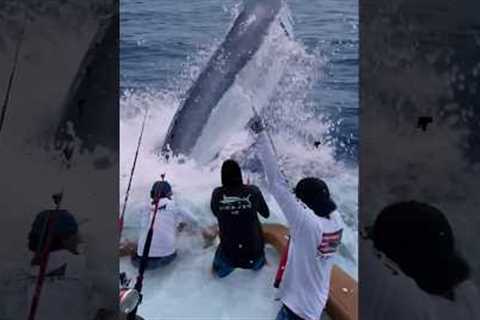 Giant Swordfish Caught by Fishermen! 🦭🦈🐙🪸 #giantcreature #deepseafishing