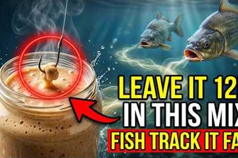 Leave Bait in This Homemade Mix for 12 Hours — The $0.80 Compound Fish Track from 20 Meters