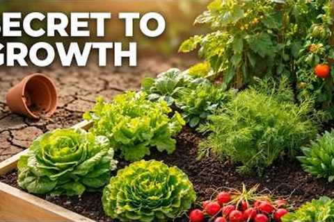 Gardening for Beginners: The Tips Nobody Shares
